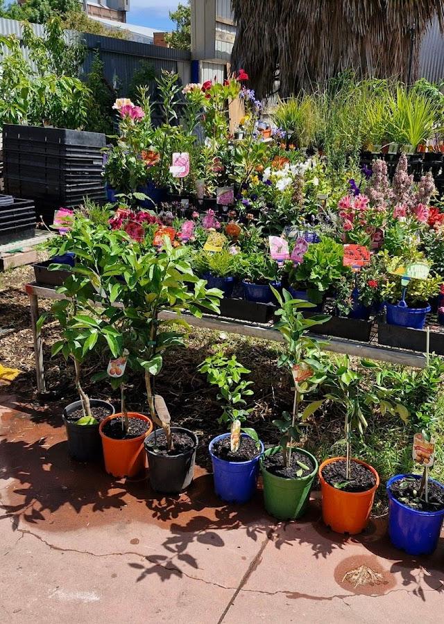 Garden Goodness Gardening Service