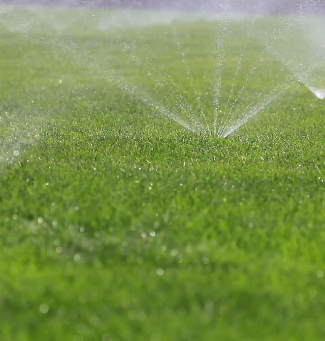GC Landscapes
