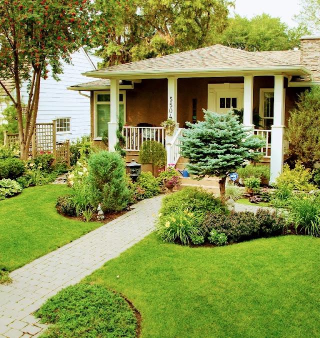 Gold coast and surrounds lawn and maintenance solutions