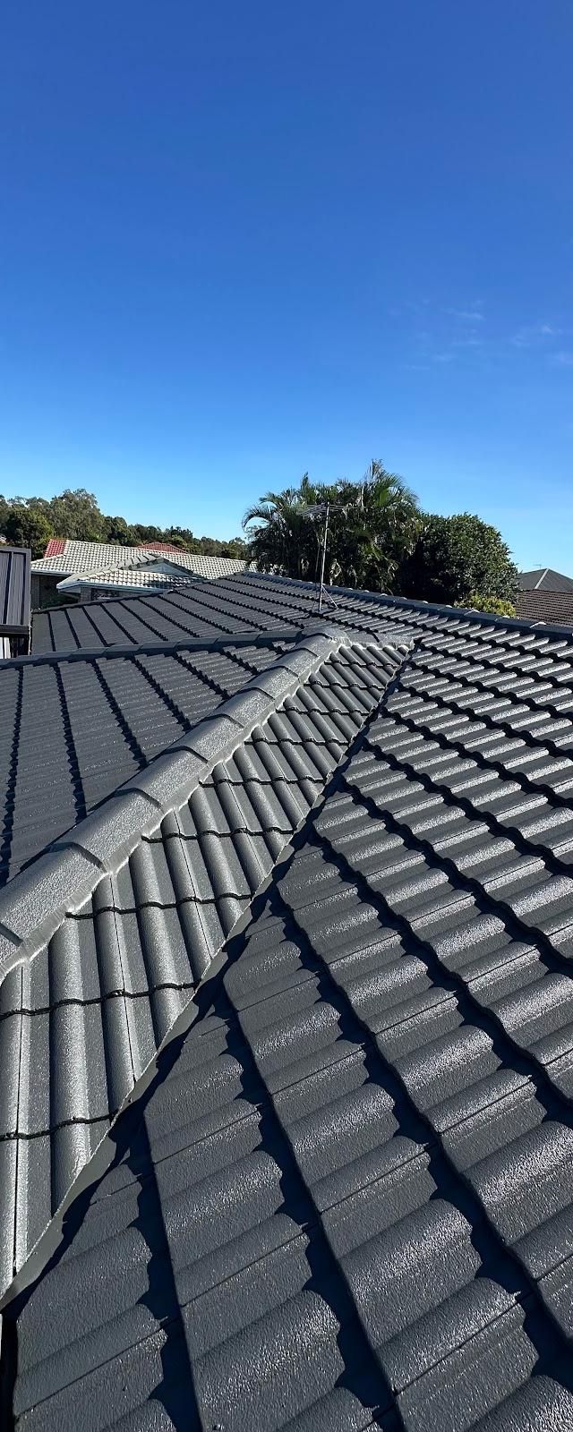 Gold Coast Roof Painting