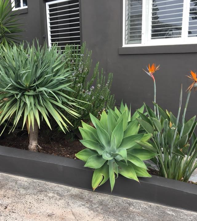 GRANDE Landscapes, Garden Care and Property Maintenance