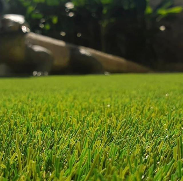 Grass That Lasts | Artificial Grass Gold Coast