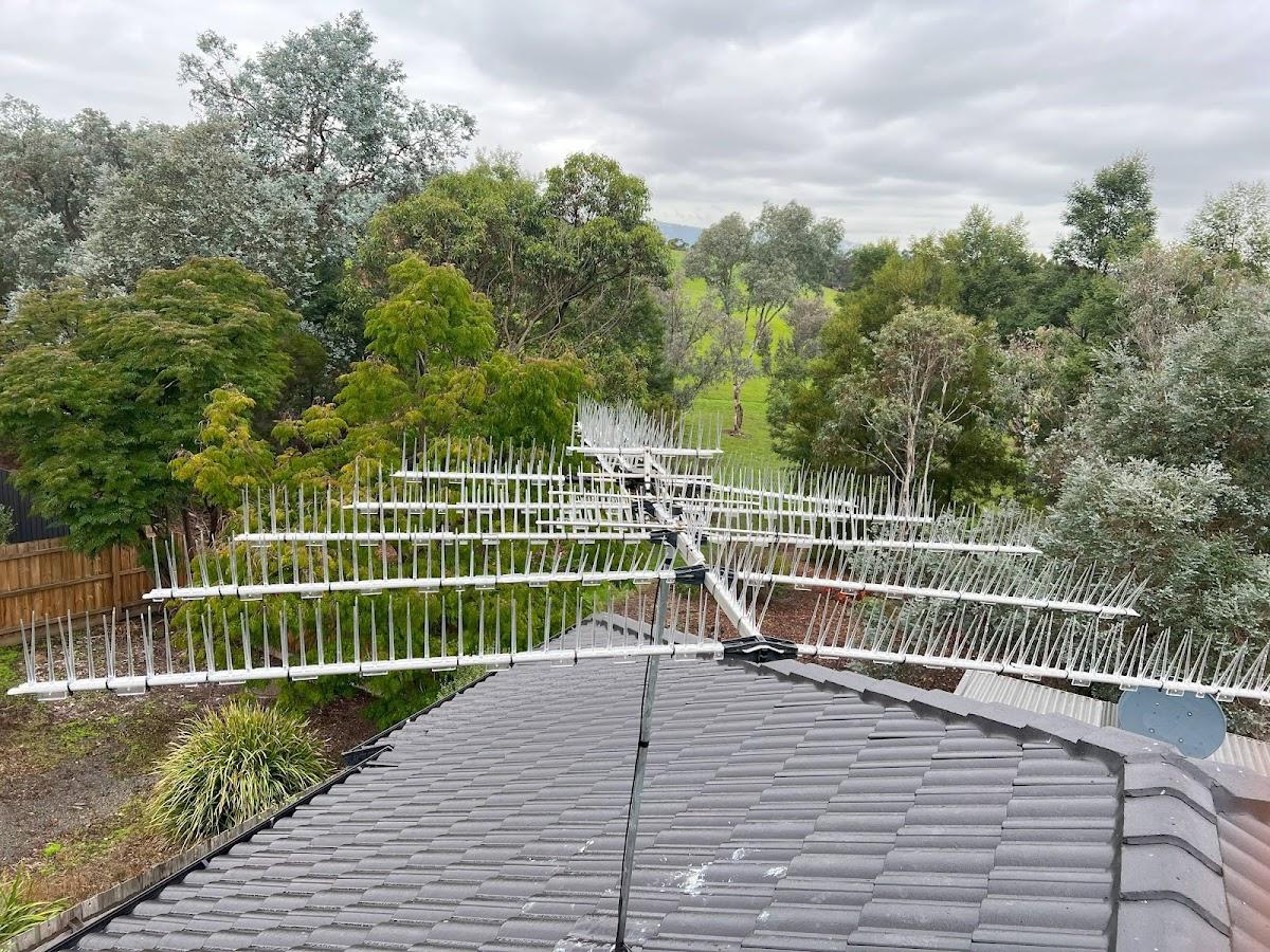 Grayson's Gutter Guard