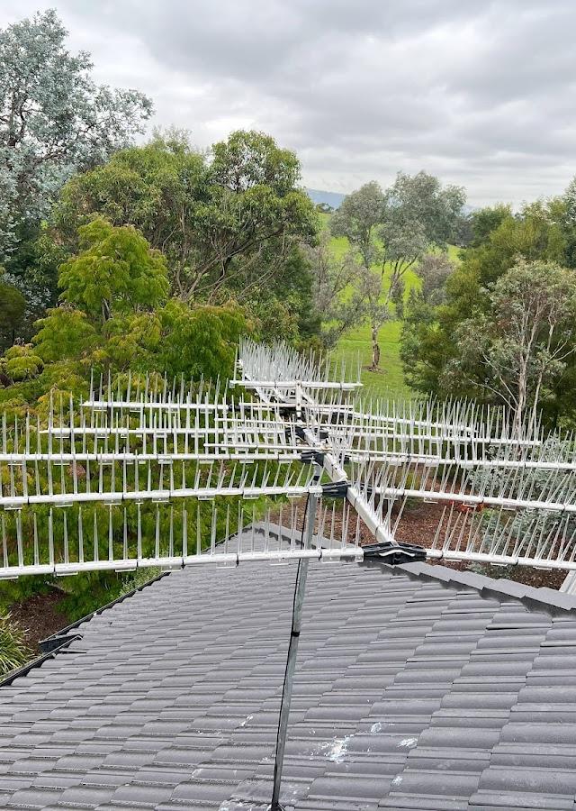 Grayson's Gutter Guard