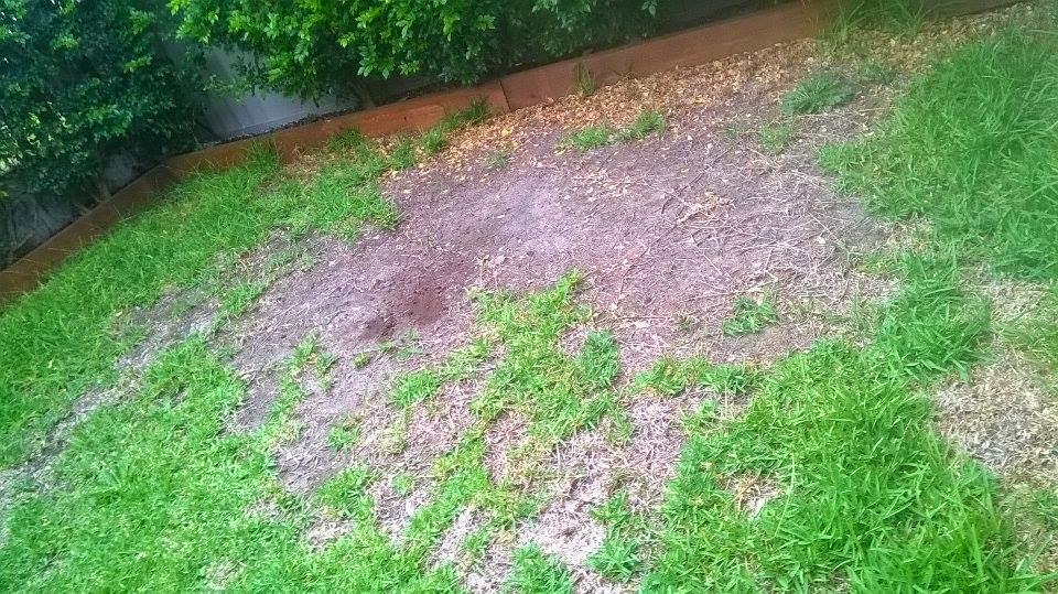 Green Machine Landscaping & Cleaning