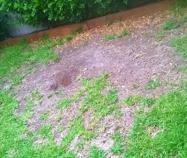 Green Machine Landscaping & Cleaning