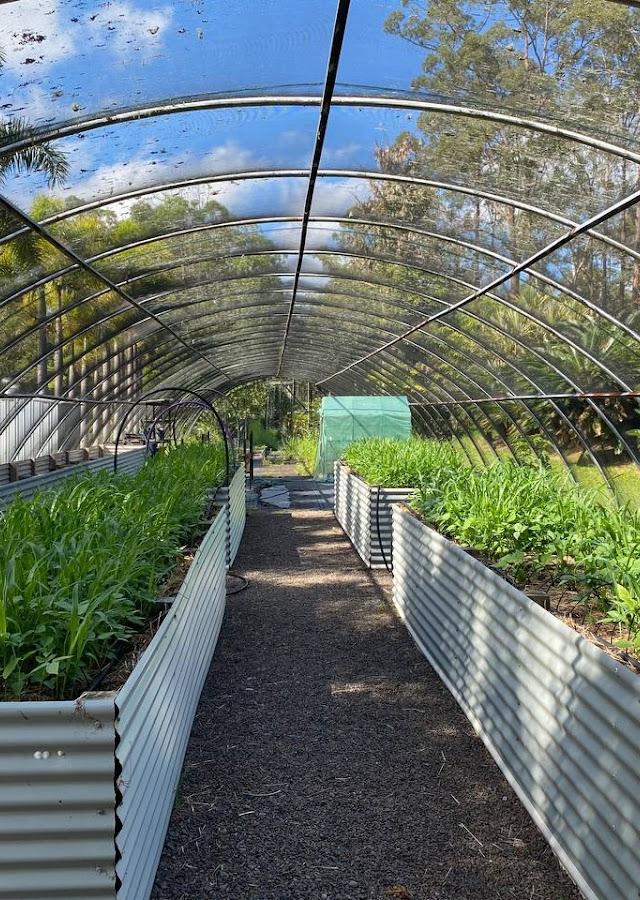 Greener Landscaping Queensland