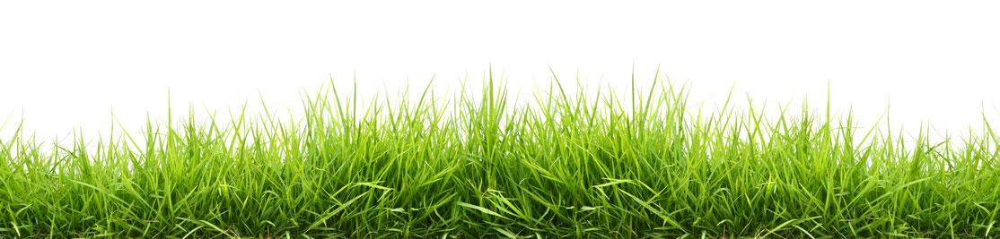 Greenprint Landscapes