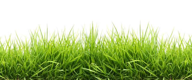 Greenprint Landscapes