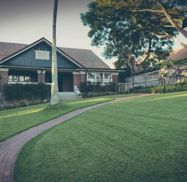 Greenview Landscapes & Lawns