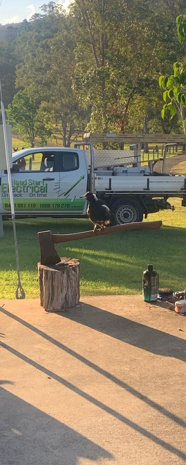 Head Start Electrical Mary Valley Sunshine Coast Hinterland