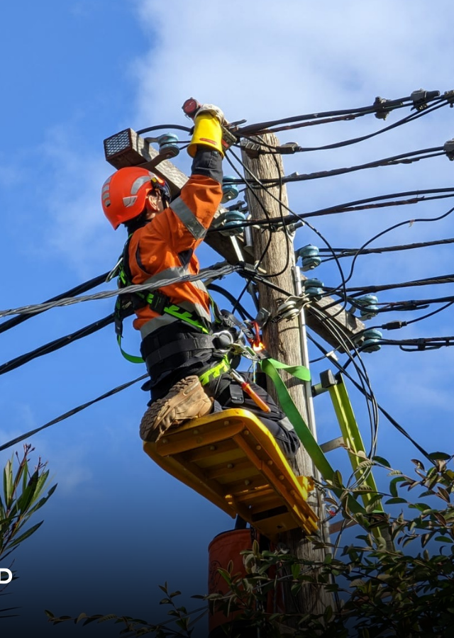 High Demand Electrical