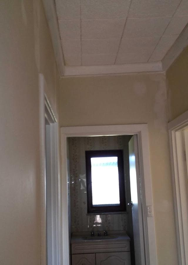 Impact Painters