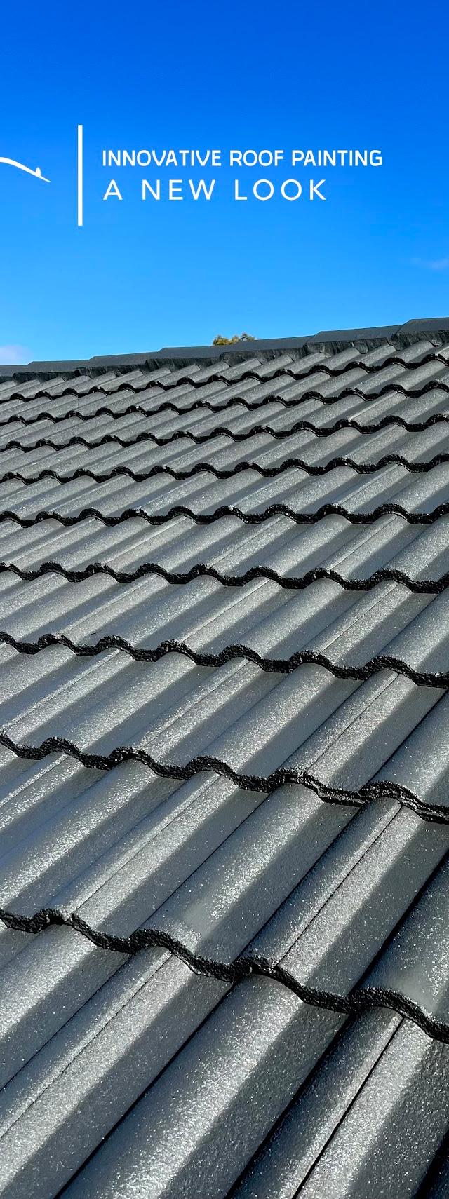 Innovative Roof Painting