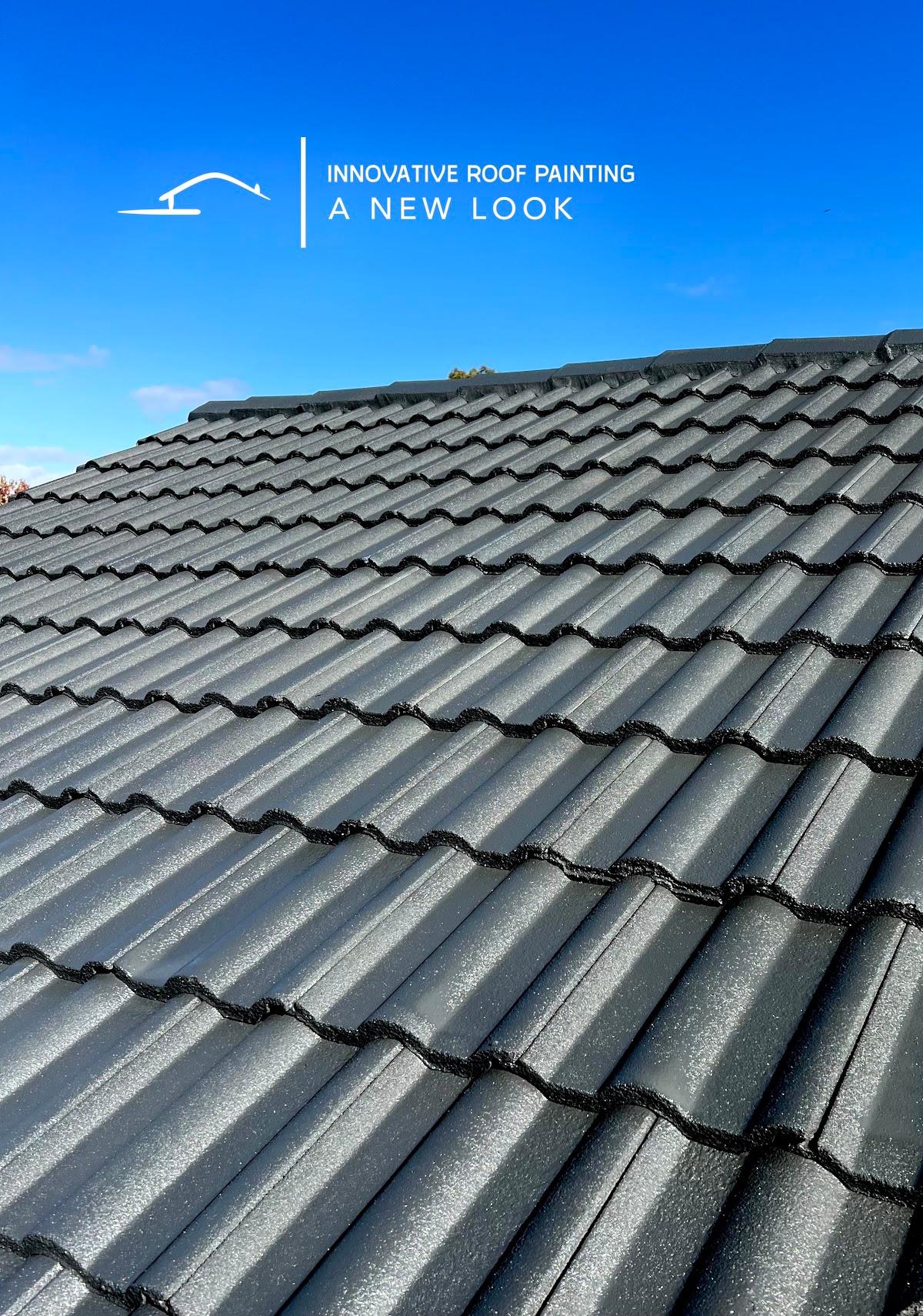 Innovative Roof Painting