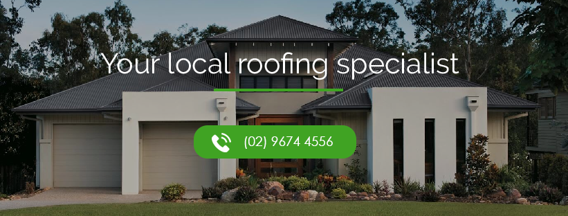 Ivy Roofing