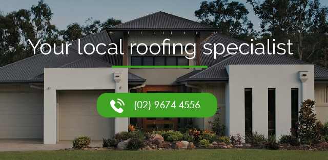 Ivy Roofing