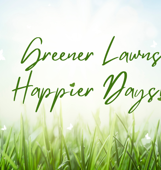 Jacks Synthetic Grass