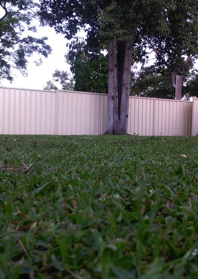 JD's Landscaping and Irrigation