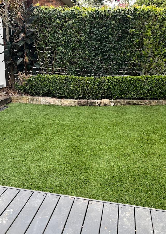 K9 Grass