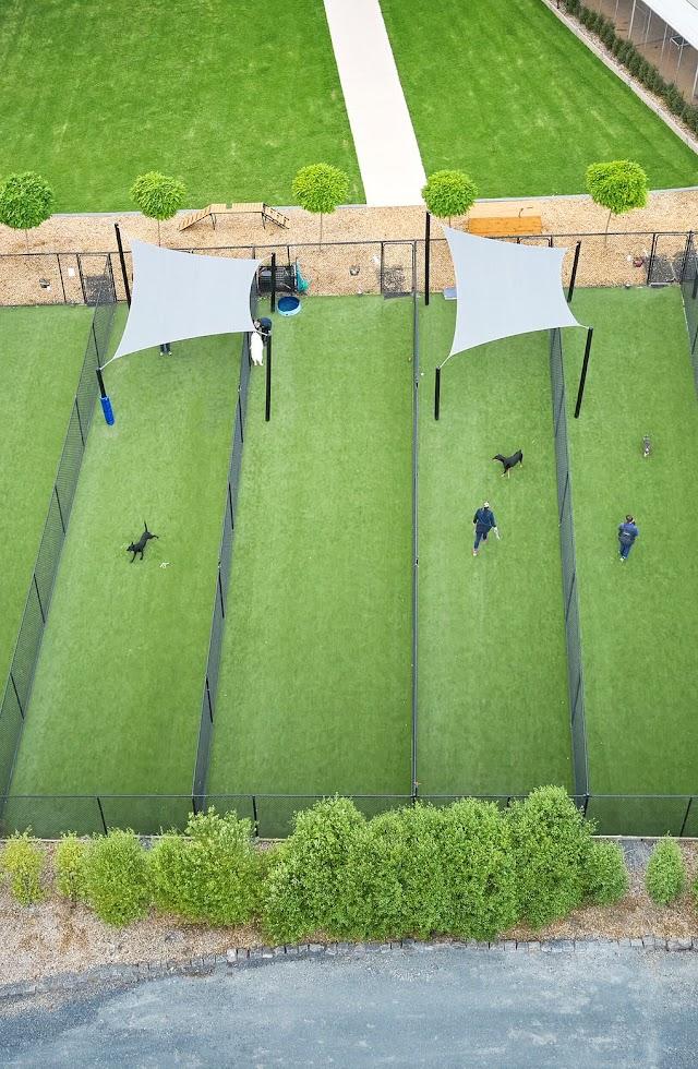 K9 Grass Melbourne - Synthetic Grass for Pets, Artificial Grass for dogs, Pet Friendly Artificial Turf