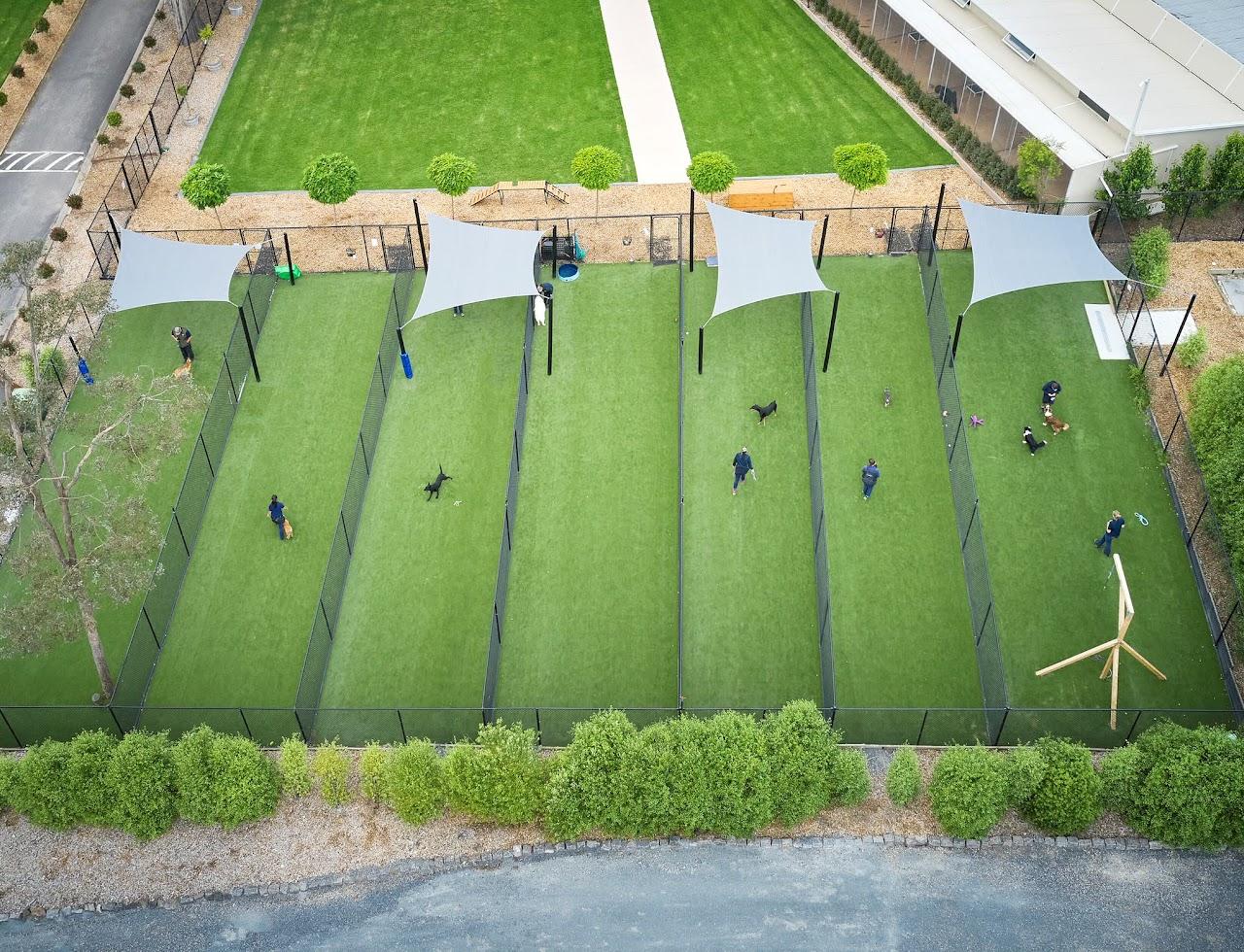 K9 Grass Melbourne - Synthetic Grass for Pets, Artificial Grass for dogs, Pet Friendly Artificial Turf