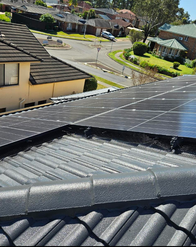 Kangaroo Roof Restoration The hills