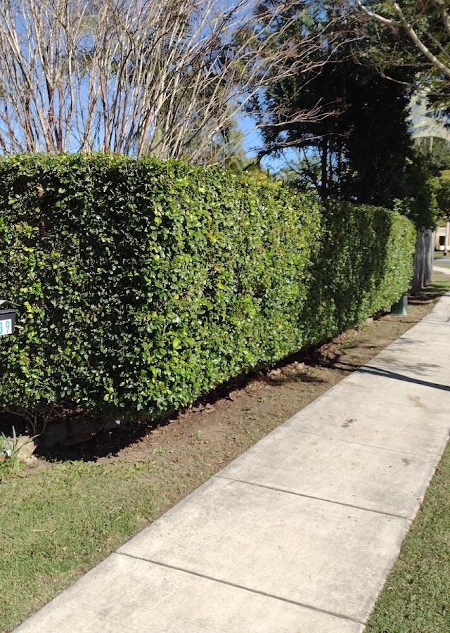 Karma Garden Maintenance services