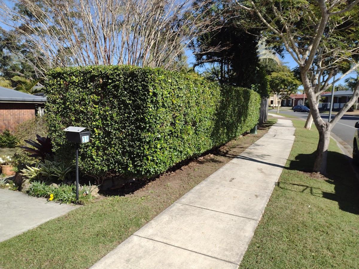 Karma Garden Maintenance services