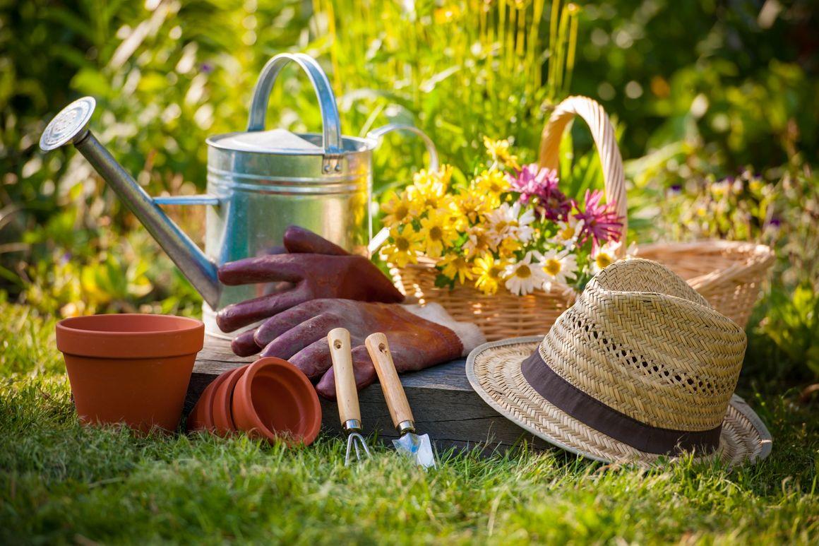 Landscaper