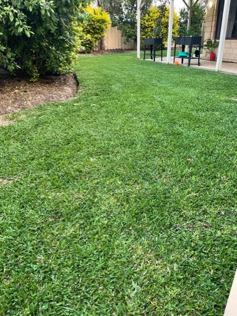 Lawn Installers Perth