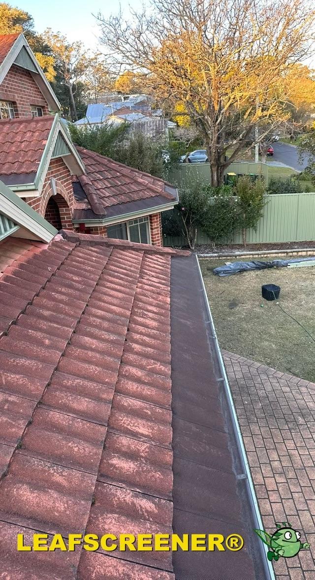 Leafscreener Sydney