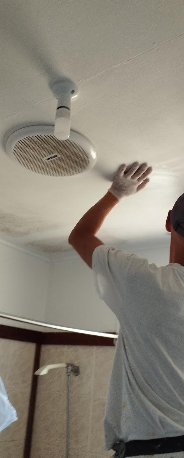Local Home and Office Painters and Decorators Forest Lake