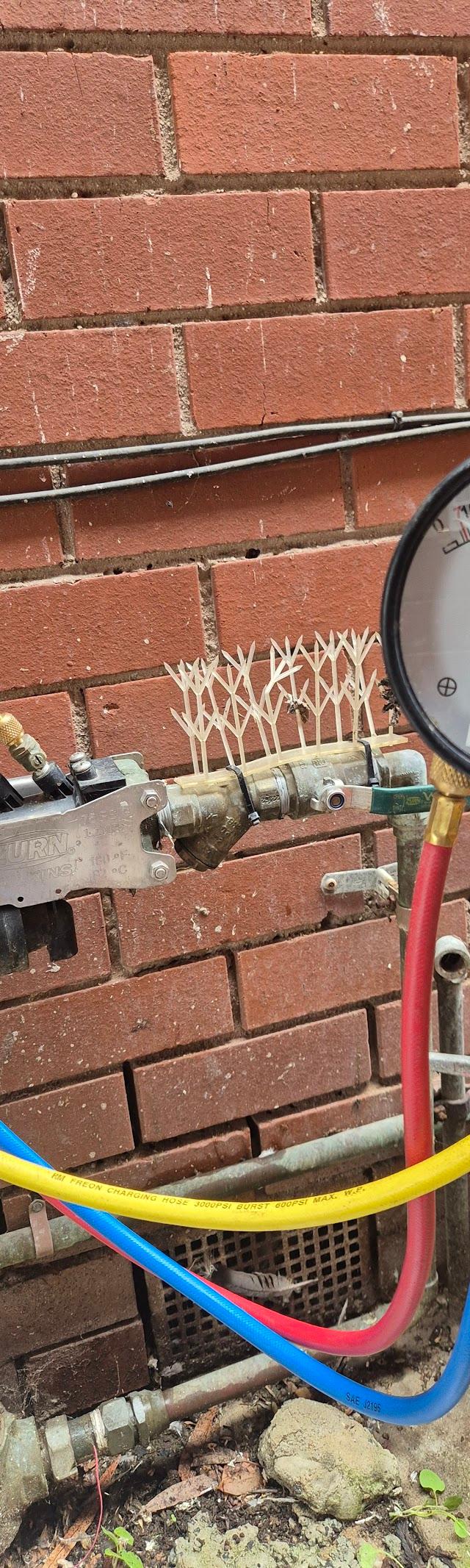 M & F Plumbing Emergency
