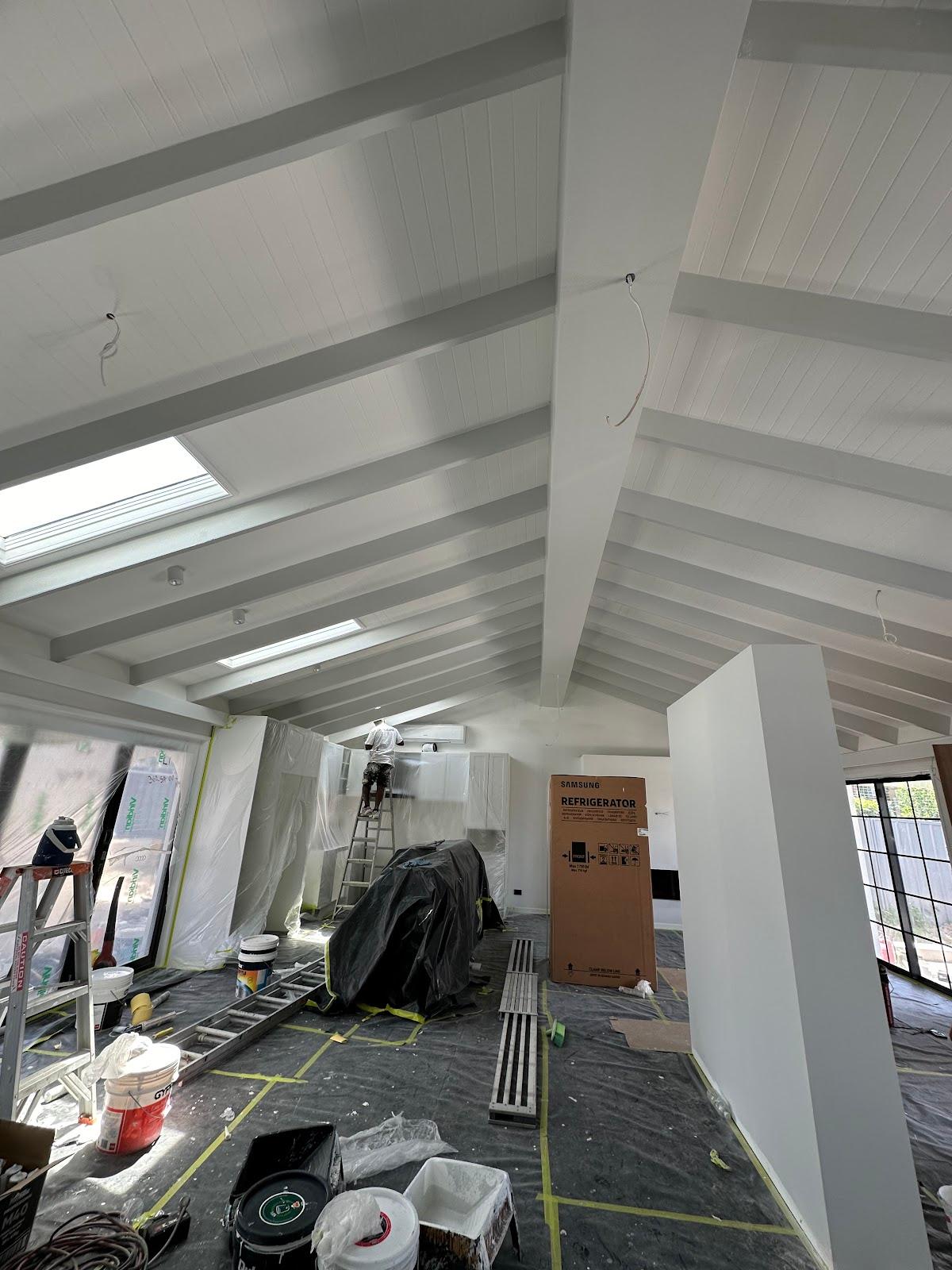 M M PROFESSIONAL PAINTING PTY LTD