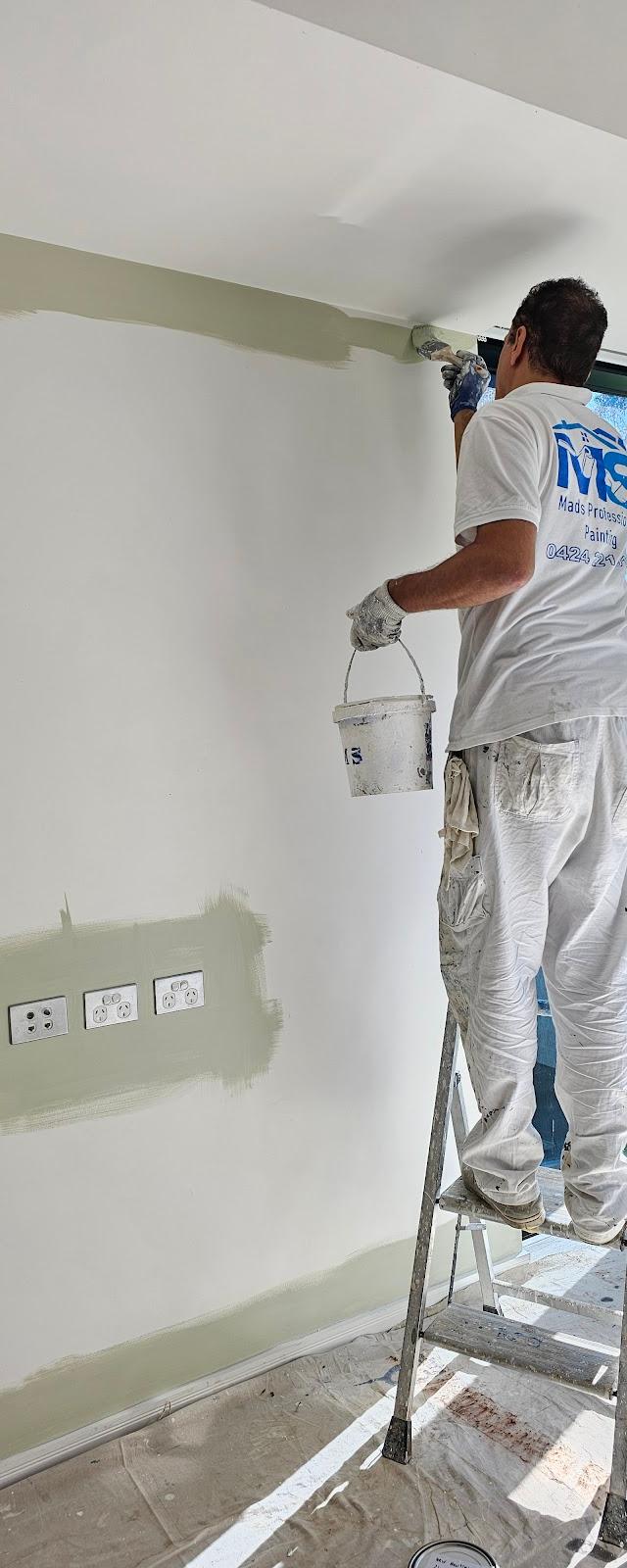 Mads Professional Painting