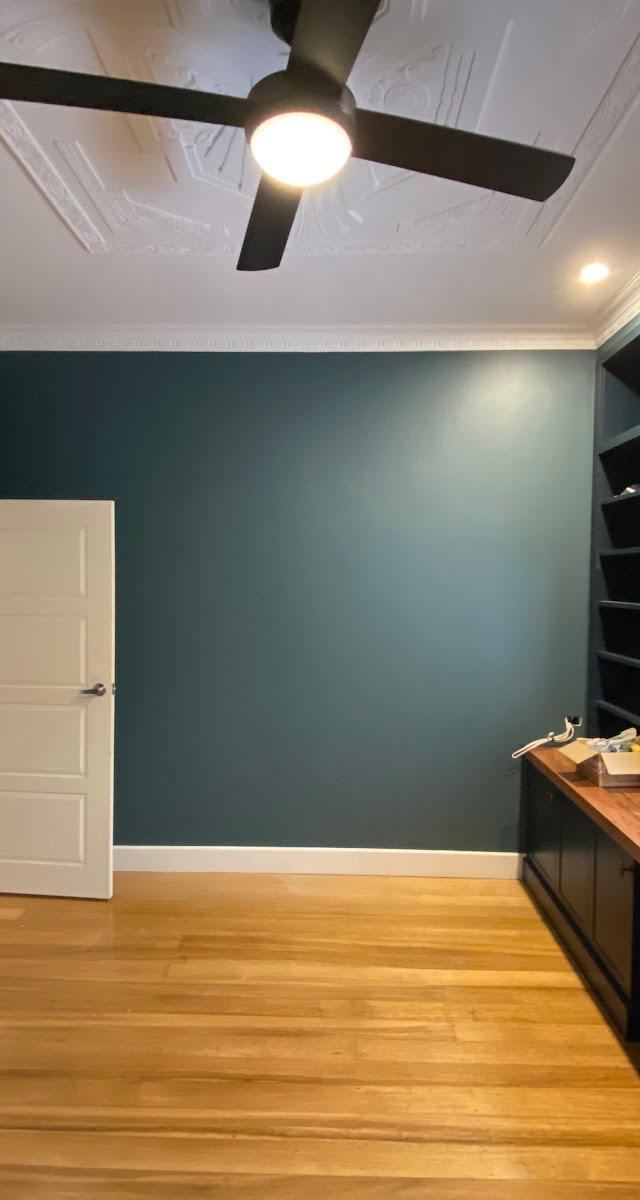 McGlashan Mould Removal & Painting