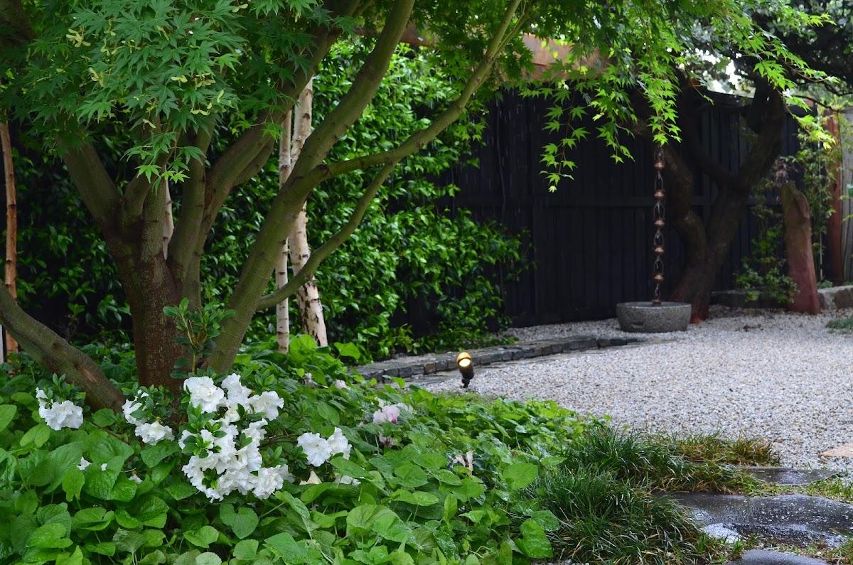 MDB Landscaping Design & Construction