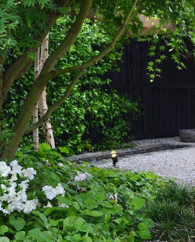 MDB Landscaping Design & Construction