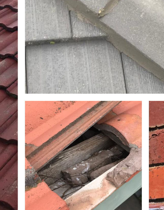 Melbo Roofing Solutions