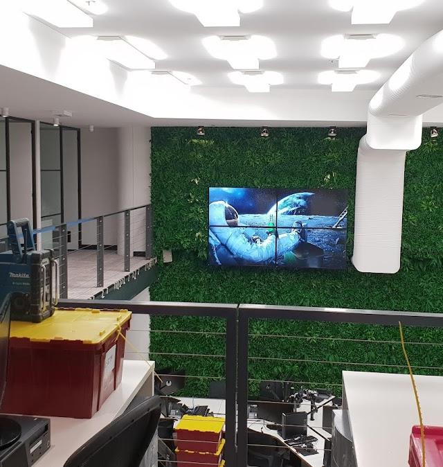 MG Painters Sydney