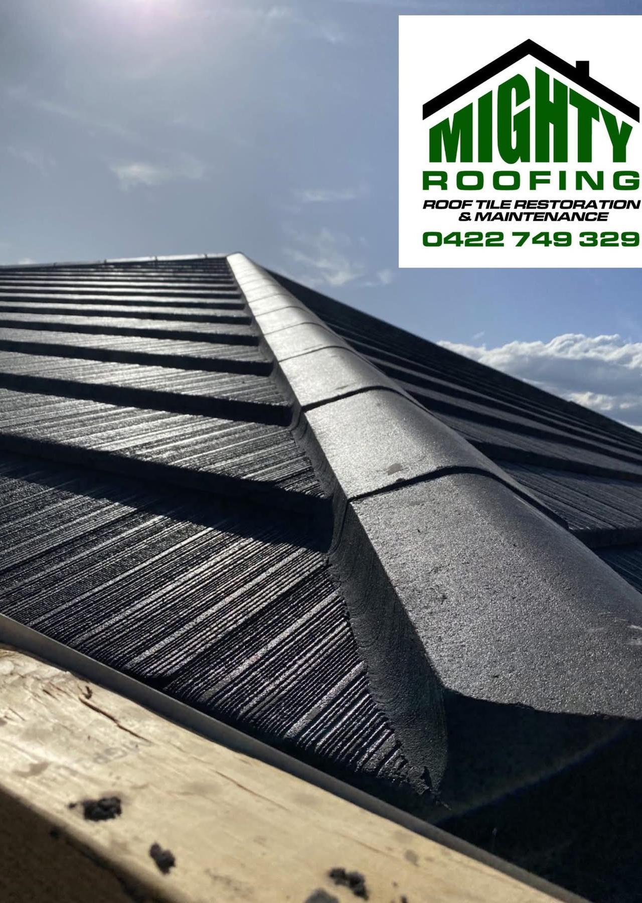 Mighty Roofing