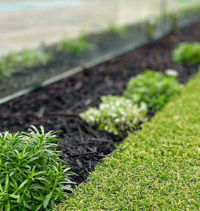 Mint Landscapes