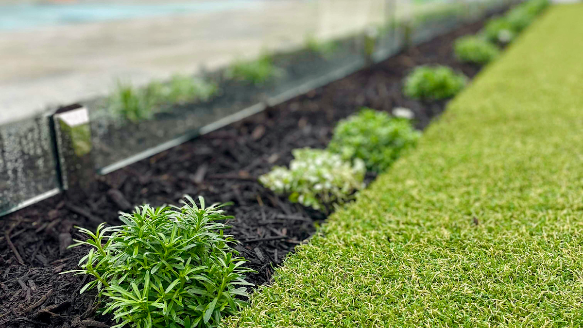 Mint Landscapes