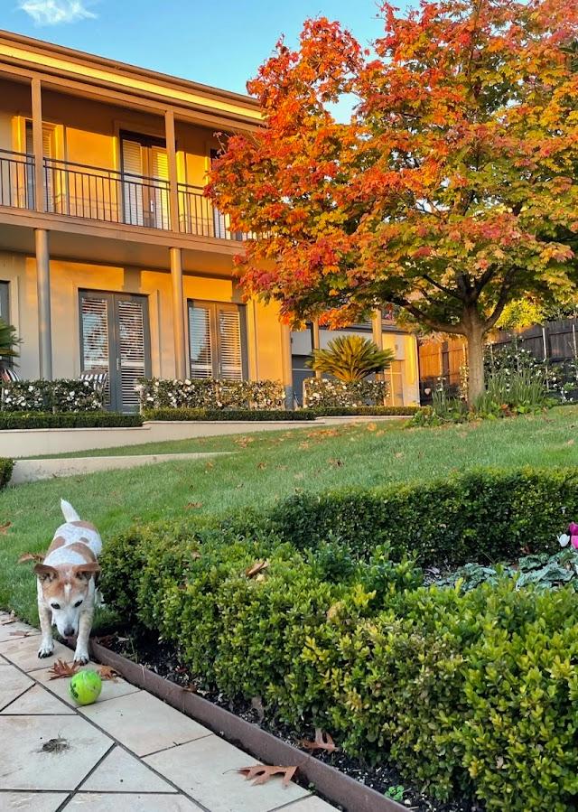 MJ Landscaping & Gardening