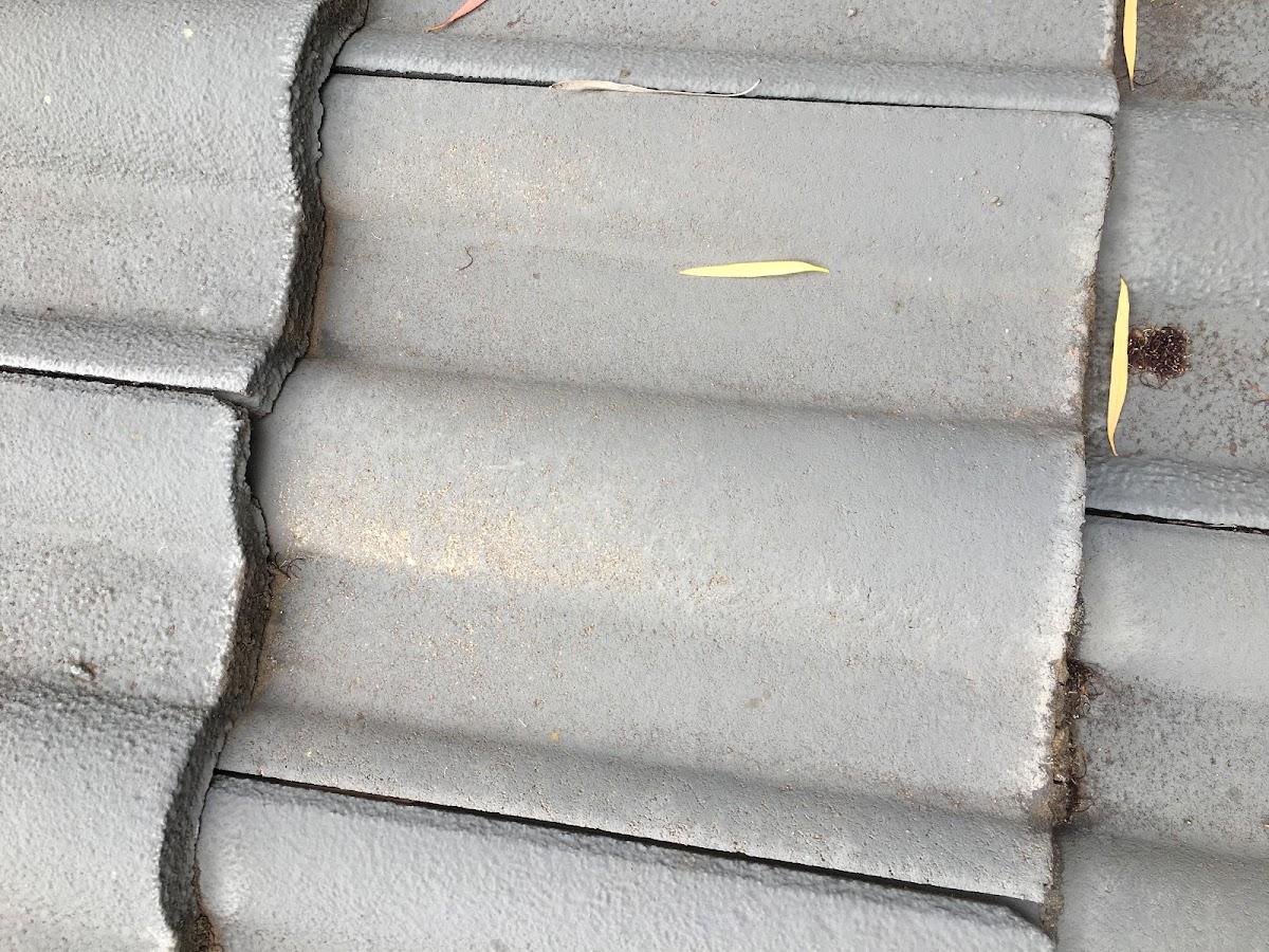 Modern Roof Restoration