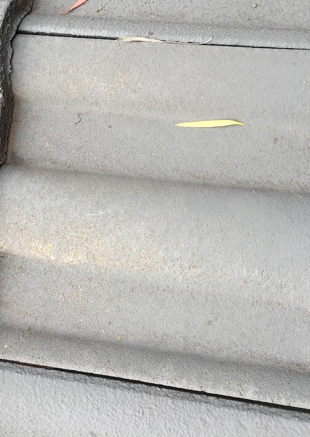 Modern Roof Restoration