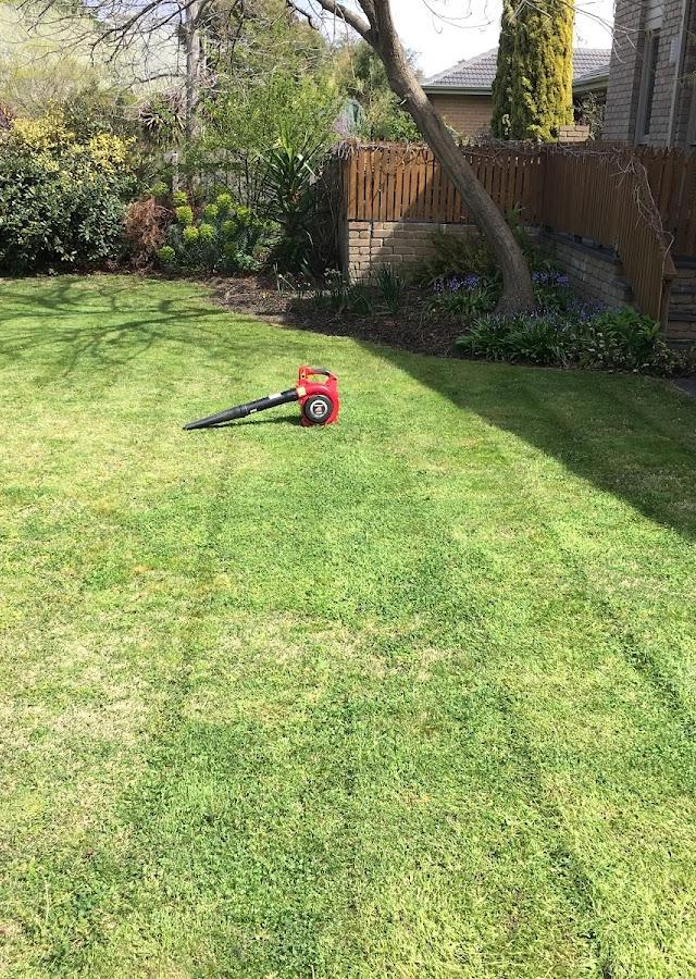 Mow Man