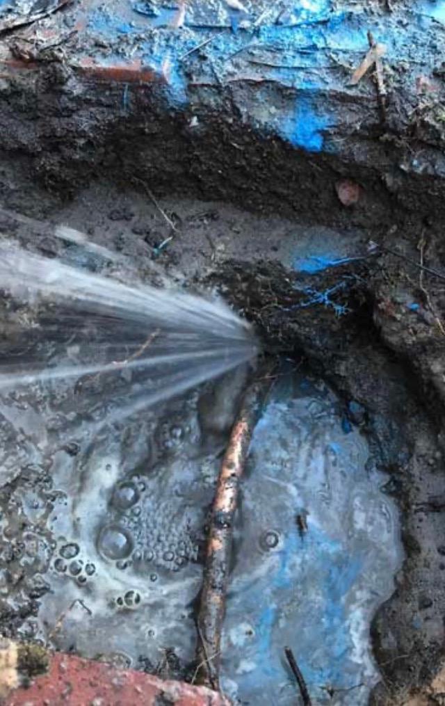 Mr Leak detection and Plumbing