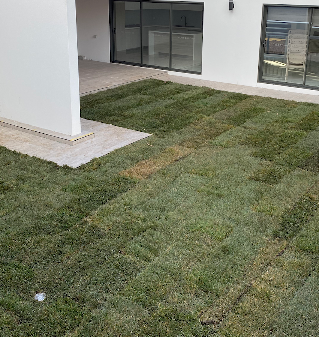 Mr Singh services(Nursery & landscape services)